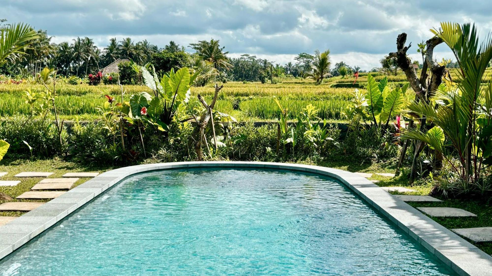 Jagadhita Villas Ubud Exteriér fotografie